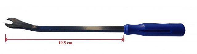3703007